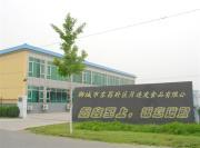 聊城东昌府区月连发食品 守护干鲜果品与绿色食品的品质之道